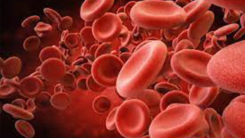 ΕΚΕΑ: Διήμερη εθελοντική αιμοδοσία