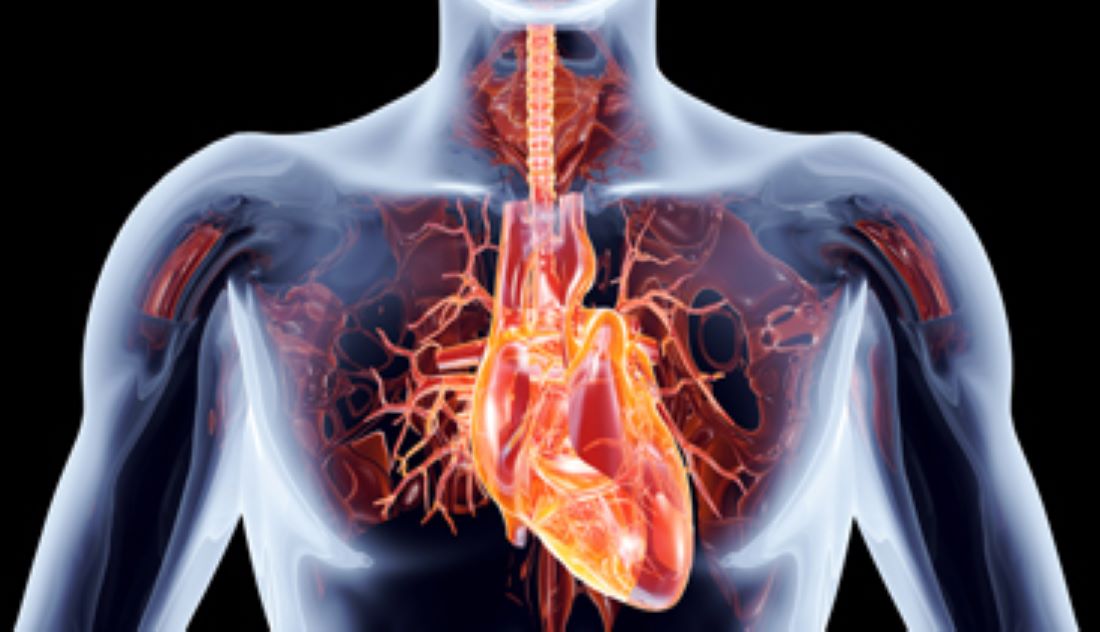 Νεότερες εξελίξεις στον τομέα της διακαθετηριακής θεραπείας καρδιακών βαλβιδοπαθειών