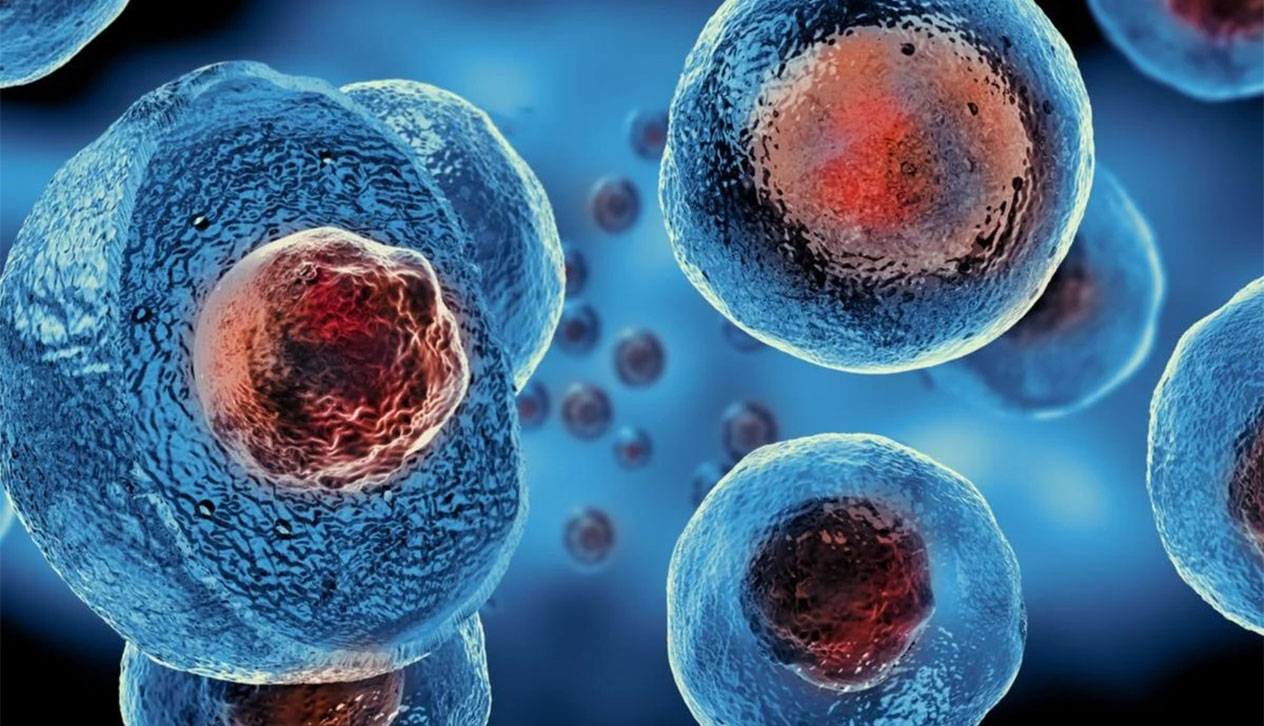 Ιαπωνία: Πρωτοποριακές δοκιμές βλαστοκυττάρων δίνουν νέες ελπίδες για θεραπείες